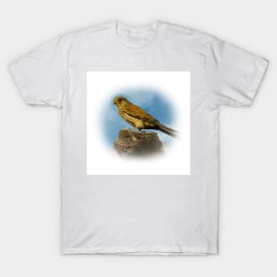 Kestrel T-Shirt